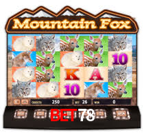 Bet78